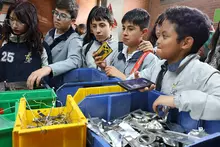 Regresaron los ni&ntilde;os a la sala de innovaci&oacute;n